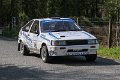 Monaghan Stages Rally 2014 SS7 (38 of 88)
